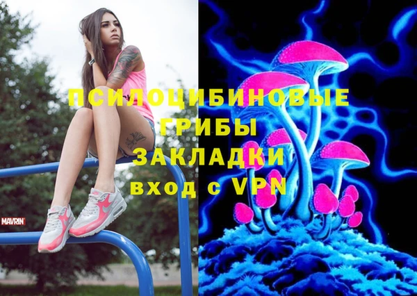 стафф Дмитровск