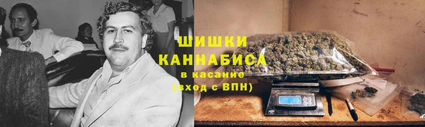 шишки Вязники