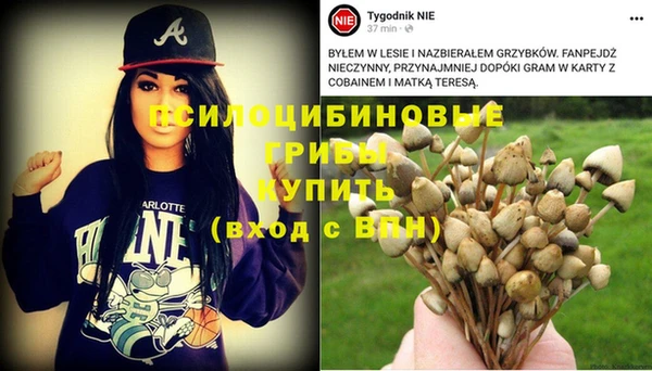 2c-b Березники