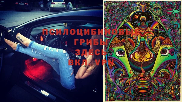 тгк Дмитров