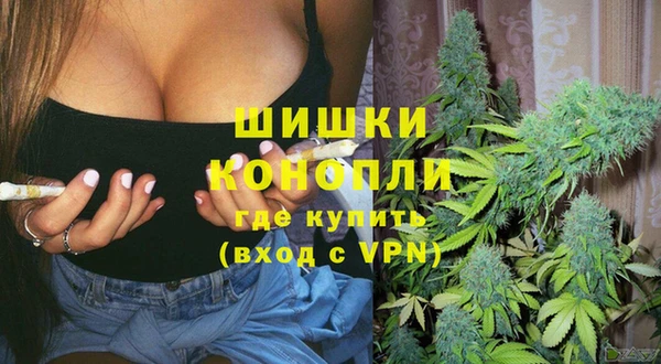 эйфоретик Долгопрудный