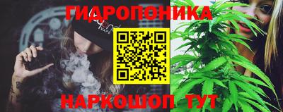 прущие грибы Заволжье
