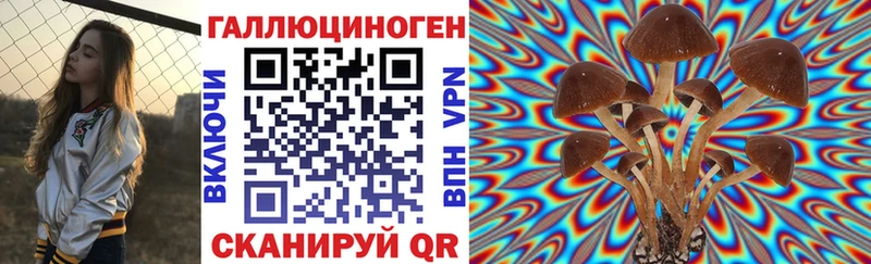 Псилоцибиновые грибы мицелий Звенигород