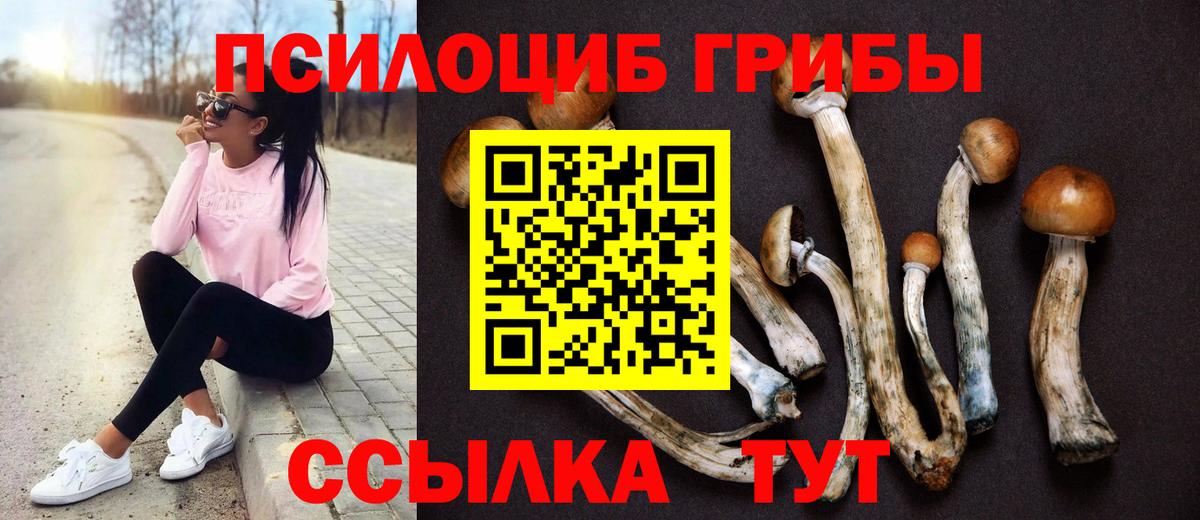 Галлюциногенные грибы Psilocybine cubensis  Вход с VPN  Звенигород 