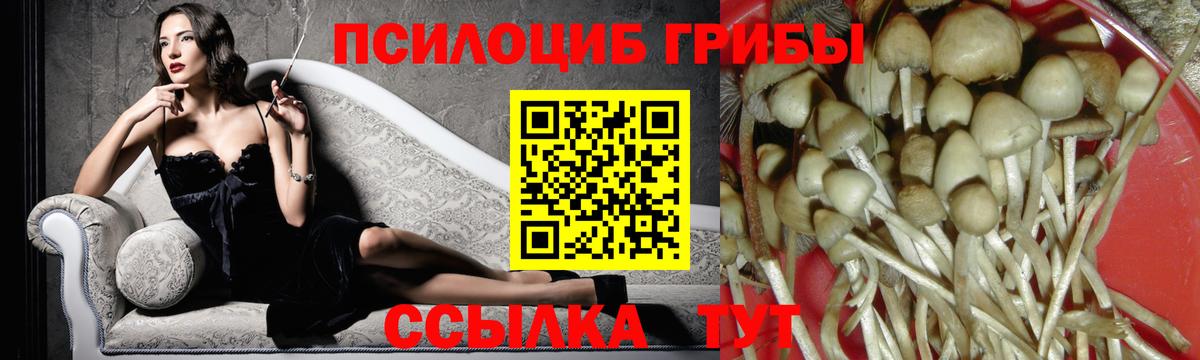 Галлюциногенные грибы MAGIC MUSHROOMS Звенигород