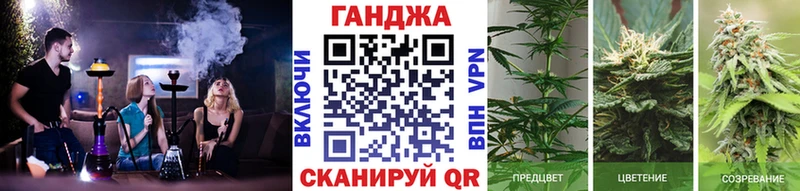 МАРИХУАНА сатива  Звенигород 